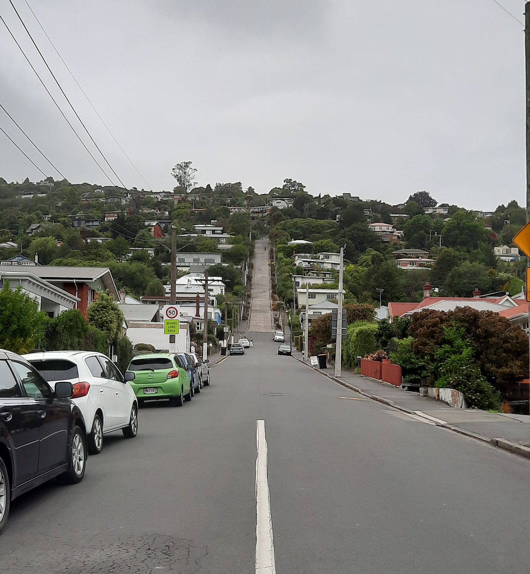 Baldwin St, the world's steepest street